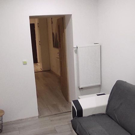City Center Apartment 45M, 1 Bedroom And 1 Living Room With Kitchen Plus Bathroom, A Perfect Family Friendly Place Or For Home Office And A Longer Stay, A Proper Office Desk With Business Chair Provided, 100M From Market Square And Vistula River Grudziądz Buitenkant foto